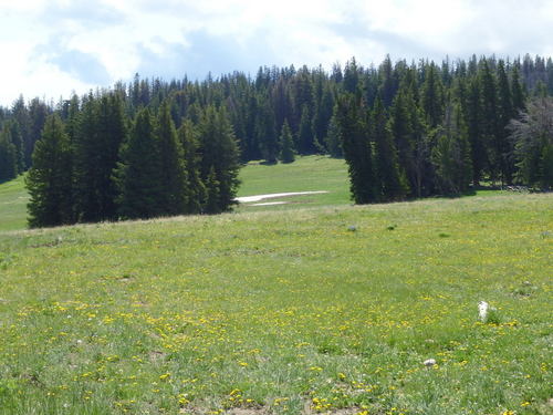 GDMBR: We are high enough in elevation to keep snow in the open sunlight.